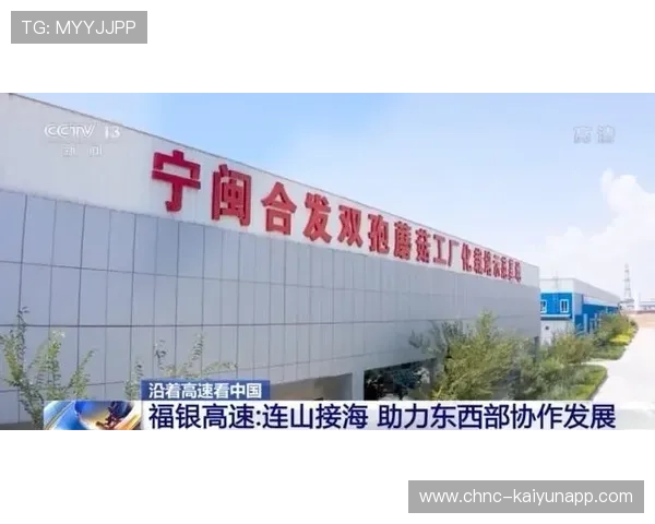 “东桃花岛：缆绳滑水赛场极速对决，观众激情四溢”